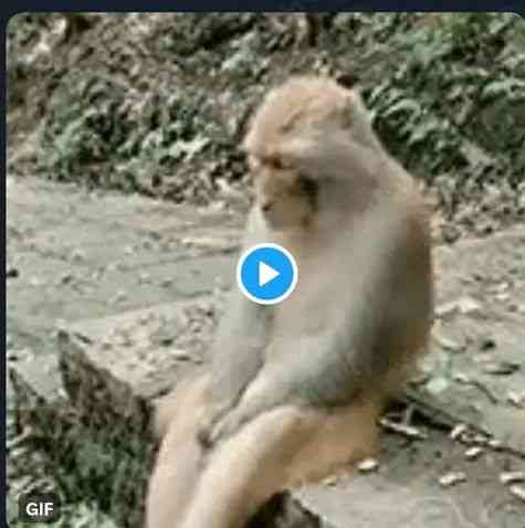 Her:Babe,you didn't buy anything for yourself 
No worry mama,I dey watch my blood sugar | MirrorLog